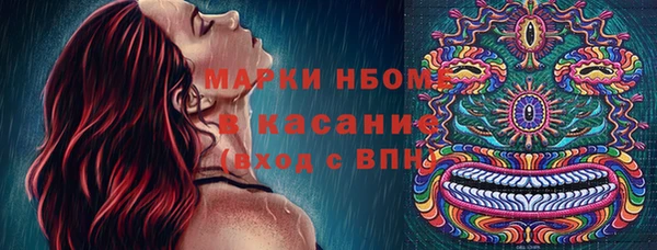 твердый Алексин