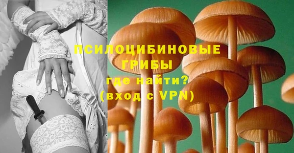 дурь Абинск
