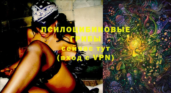 дурь Абинск
